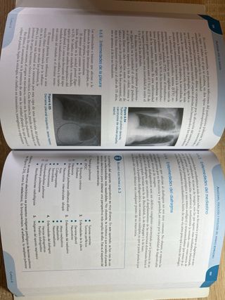 Anatomía por la imagen