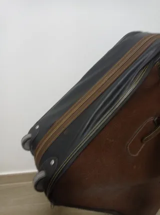 Juego 2 maletas de mano