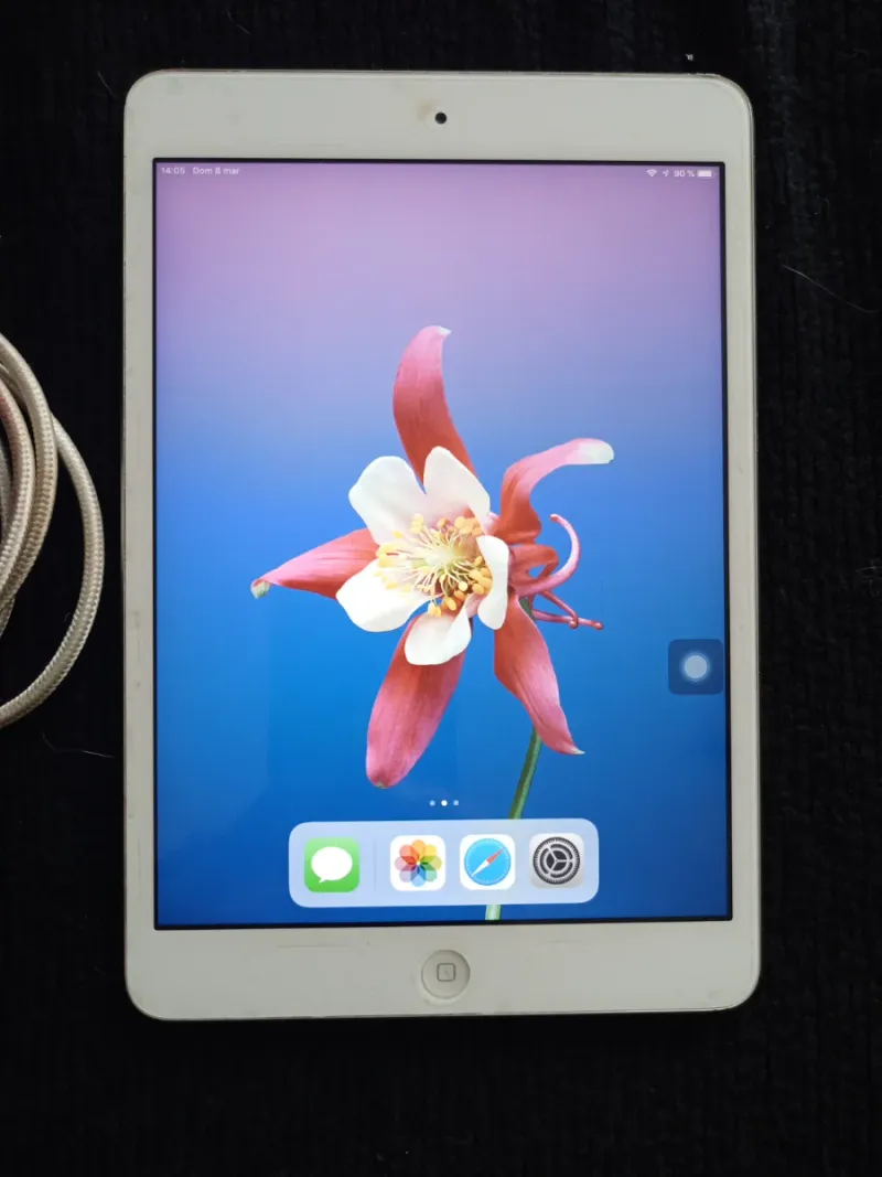 Apple iPad mini 2 Blanco