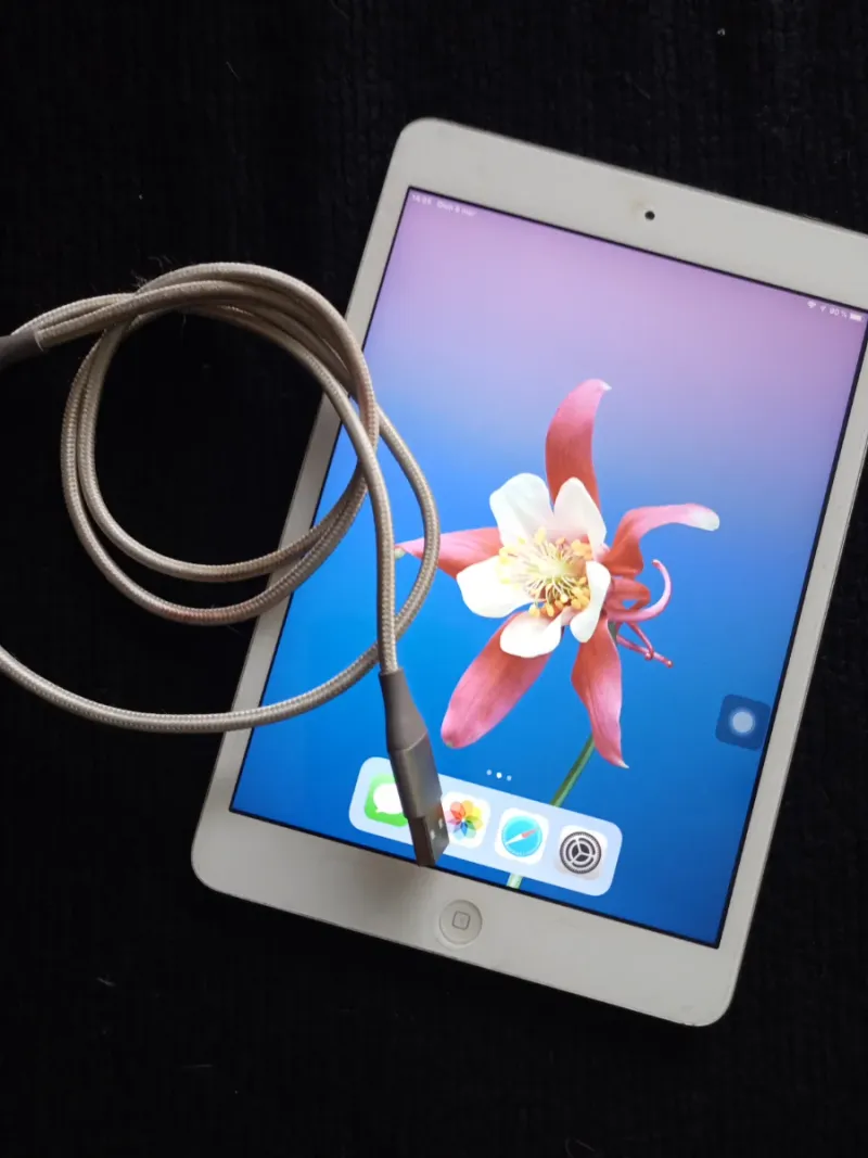 Apple iPad mini 2 Blanco afbeelding 2