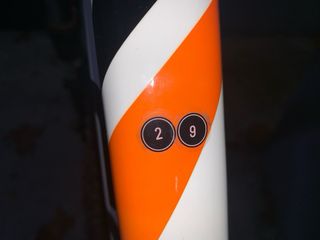 Bicicleta de Montaña Focus Blanca