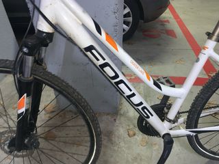 Bicicleta de Montaña Focus Blanca