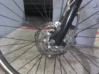 Bicicleta de Montaña Focus Blanca