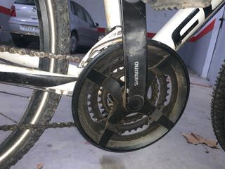 Bicicleta de Montaña Focus Blanca