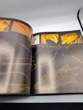 Libro arranchale fotos alta calidad