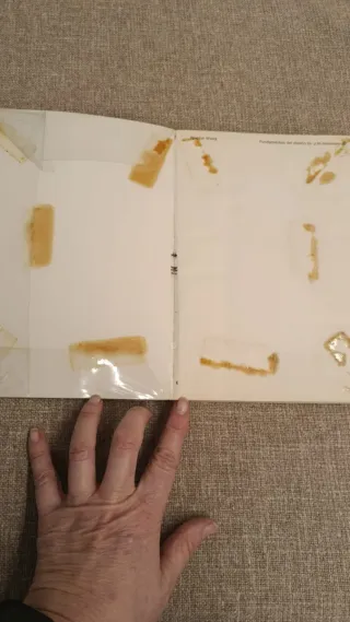 Fundamentos del diseño bi  tri-dimensional ed 1979