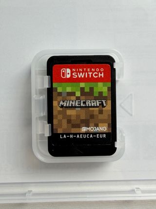 Minecraft Nintendo Switch