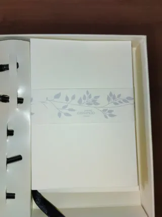 Set de Caligrafía con Plumas y Tinta