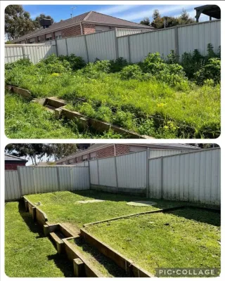 Servicio de jardinería y limpieza de exteriores