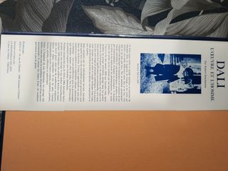 Libro de Dalí (en francés)