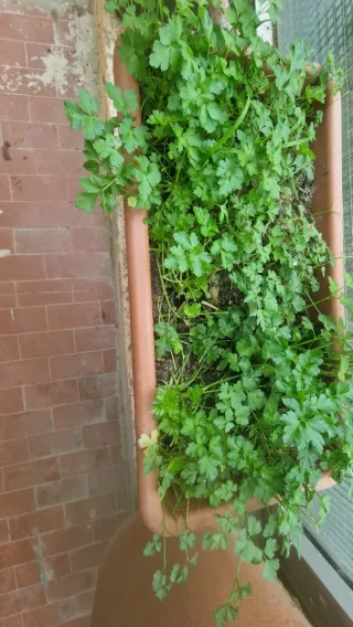 Samsung S22 Ultra Nero