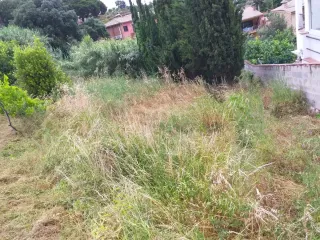 Servicio de jardinería profesional