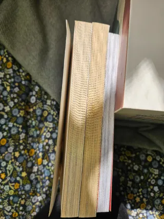 Set de mangas La Princesa AI