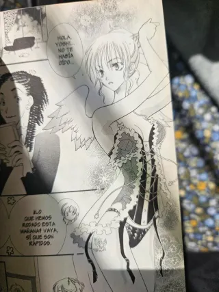 Set de mangas La Princesa AI