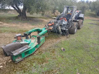 Bugy articulado Bosco con vibrador martin bohorqu