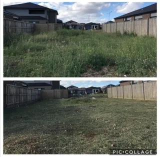 Servicio de jardinería y limpieza de parcelas
