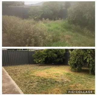 Servicio de jardinería y limpieza de parcelas