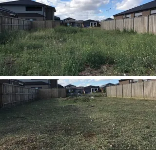 Servicio de jardinería y limpieza de parcelas