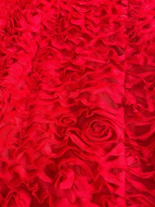 Vestido Rojo de Rosas