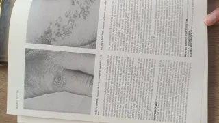 Enciclopedia médica MOSBY