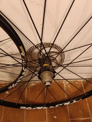 Llantas Mavic Crossride 29