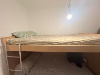 Cama litera de madera