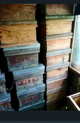 Colmenas Langstroth Trashumancia