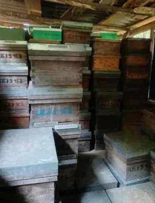 Colmenas Langstroth Trashumancia