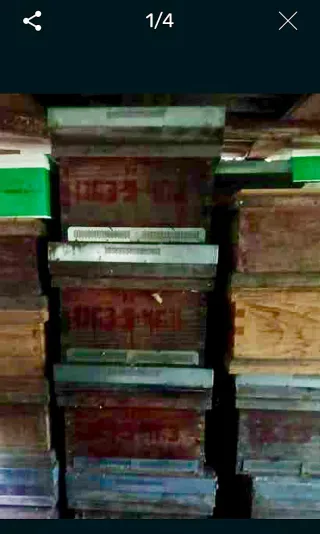 Colmenas Langstroth Trashumancia