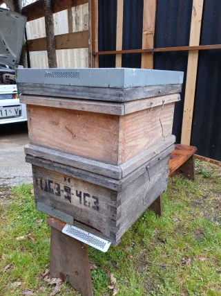 Colmenas Langstroth Trashumancia