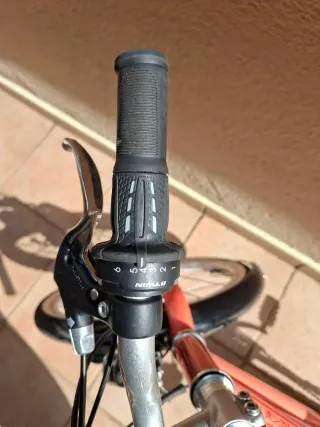 Bicicleta RIVERSIDE 20 Coral