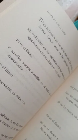 Lápidas, de Antonio Gamoneda