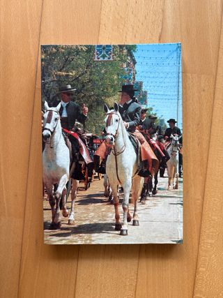 Guía turística Sevilla fotos y planos 1967