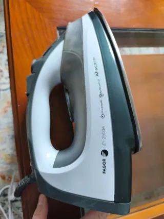 Plancha Fagor Alissamax 2600W