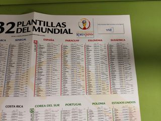 Póster La Roja Mundial 2002