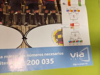 Póster La Roja Mundial 2002