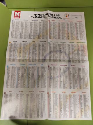 Póster La Roja Mundial 2002