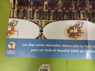 Póster La Roja Mundial 2002