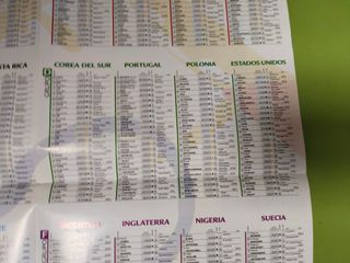 Póster La Roja Mundial 2002