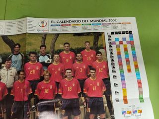 Póster La Roja Mundial 2002