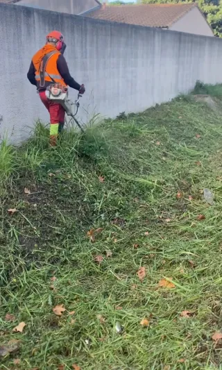 Jardinero económico
