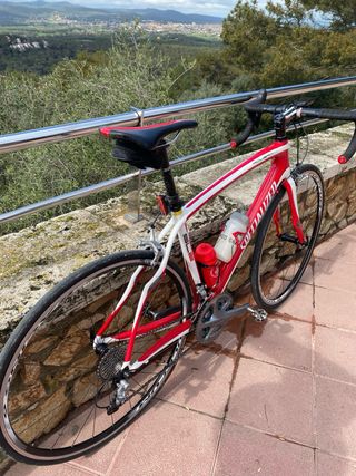 Bicicleta Carretera Specialized Roubaix