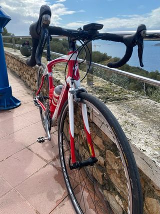 Bicicleta Carretera Specialized Roubaix
