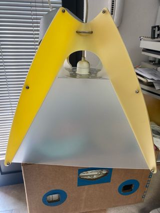 Lampada Dingo Samuel Parker