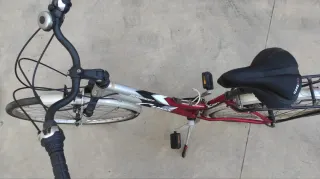 Bicicleta Urbana 29 Roja y Plata