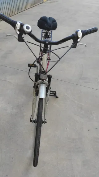 Bicicleta Urbana 29 Roja y Plata