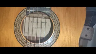 Guitarra Flamenca Sobrinos Santos Hernández