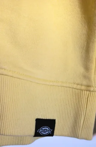 Sudadera Dickies