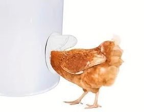 Comedero gallinas 30L