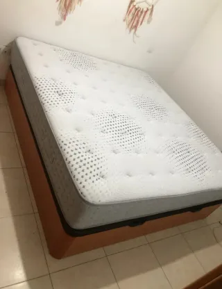 Canapé cama canapé canapé canapé canapé canapé